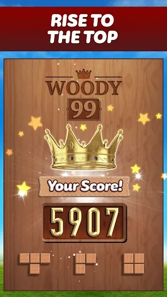 Woody 99 - Sudoku Block Puzzle (Вуди 99)  [МОД Много денег] Screenshot 5