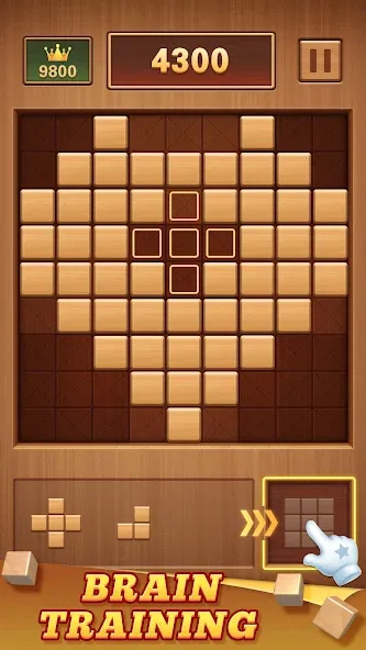 Wood Block 99 - Sudoku Puzzle (Вуд Блок 99)  [МОД Все открыто] Screenshot 2