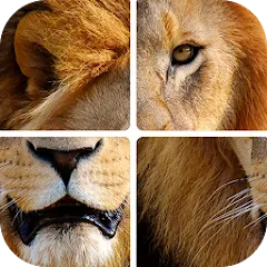 Скачать взлом Угадай животных