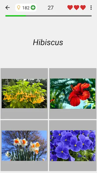 Flowers Quiz - Identify Plants  [МОД Все открыто] Screenshot 4
