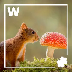 Скачать взлом 7000 words (семь тысяч)  [МОД Unlocked] - полная версия apk на Андроид