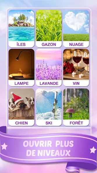 Mots Malins - Jeu de mots pro (Мо Малинс)  [МОД Unlimited Money] Screenshot 5